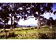 Lot 1 Clearys Lane, Bream Creek TAS 7175