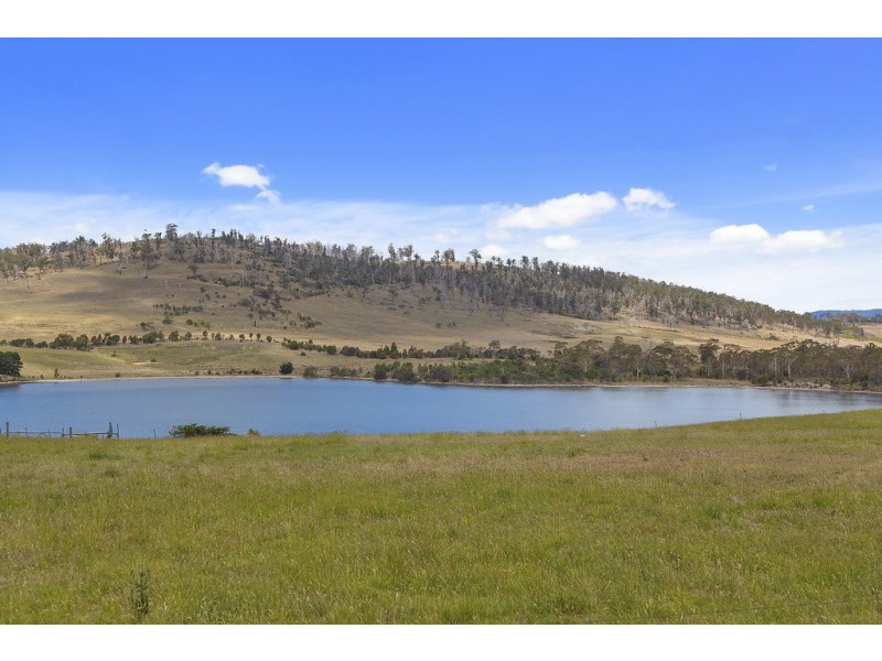 17 Brue Court, Carlton River TAS 7173