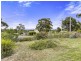 17 Moonar Street, Carlton TAS 7173