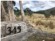 345 Springhill Bottom Road, Colebrook TAS 7027