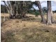 345 Springhill Bottom Road, Colebrook TAS 7027