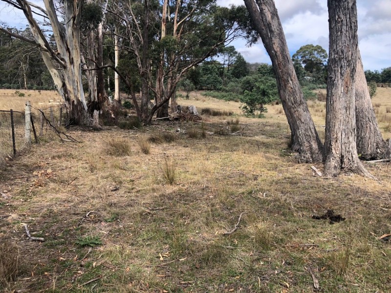 345 Springhill Bottom Road, Colebrook TAS 7027