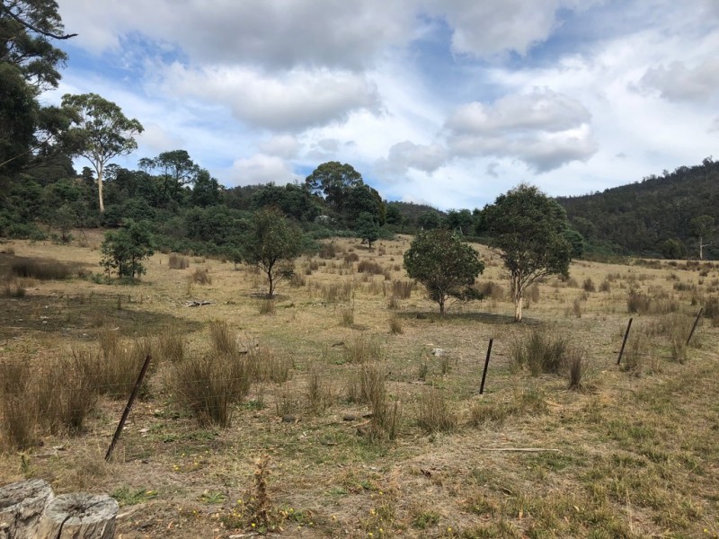 345 Springhill Bottom Road, Colebrook TAS 7027