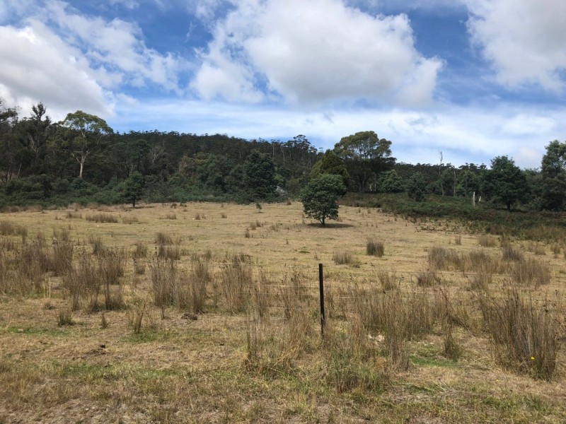 345 Springhill Bottom Road, Colebrook TAS 7027
