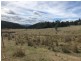 345 Springhill Bottom Road, Colebrook TAS 7027