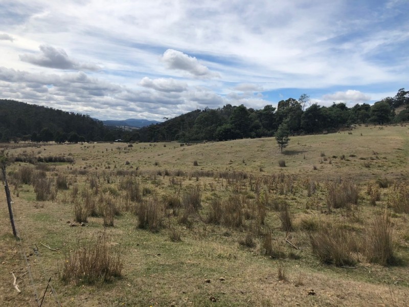 345 Springhill Bottom Road, Colebrook TAS 7027