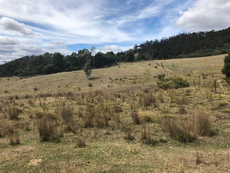345 Springhill Bottom Road, Colebrook TAS 7027