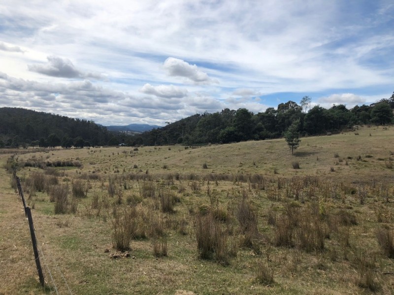 345 Springhill Bottom Road, Colebrook TAS 7027