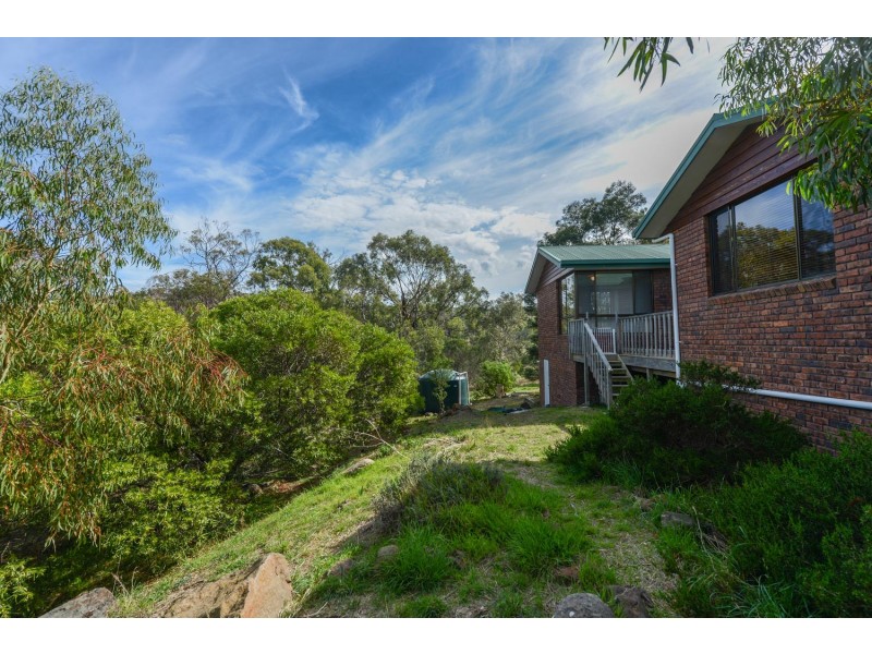 19 Ollie Drive, Sorell TAS 7172
