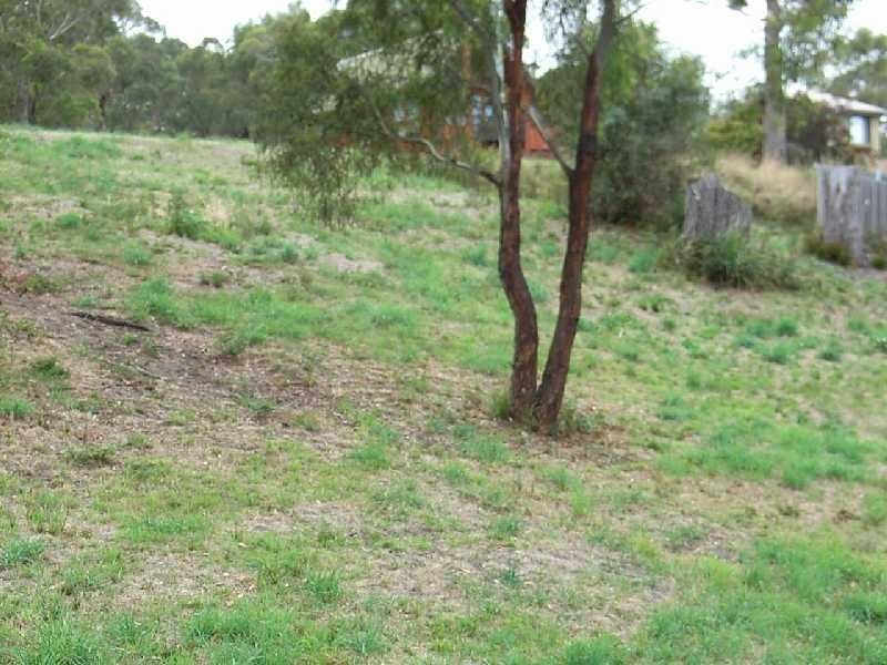 44 Moomere Street, Carlton TAS 7173