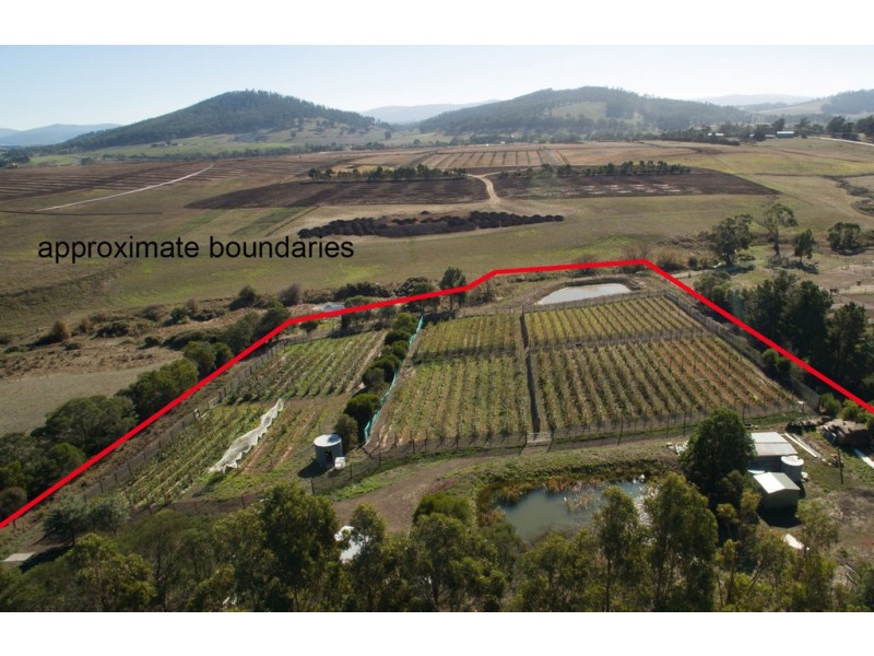 4 Riverdown Court, Forcett TAS 7173