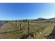 4 Riverdown Court, Forcett TAS 7173
