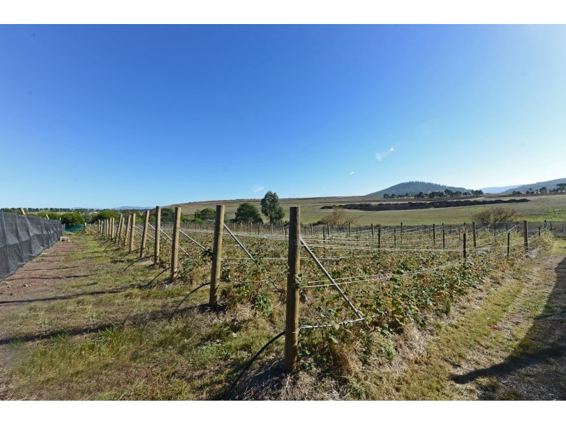 4 Riverdown Court, Forcett TAS 7173