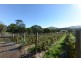 4 Riverdown Court, Forcett TAS 7173