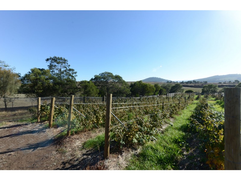 4 Riverdown Court, Forcett TAS 7173