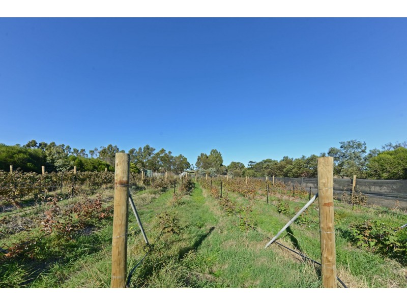 4 Riverdown Court, Forcett TAS 7173