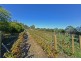 4 Riverdown Court, Forcett TAS 7173