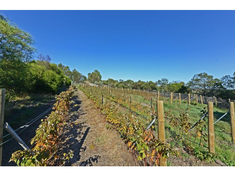 4 Riverdown Court, Forcett TAS 7173