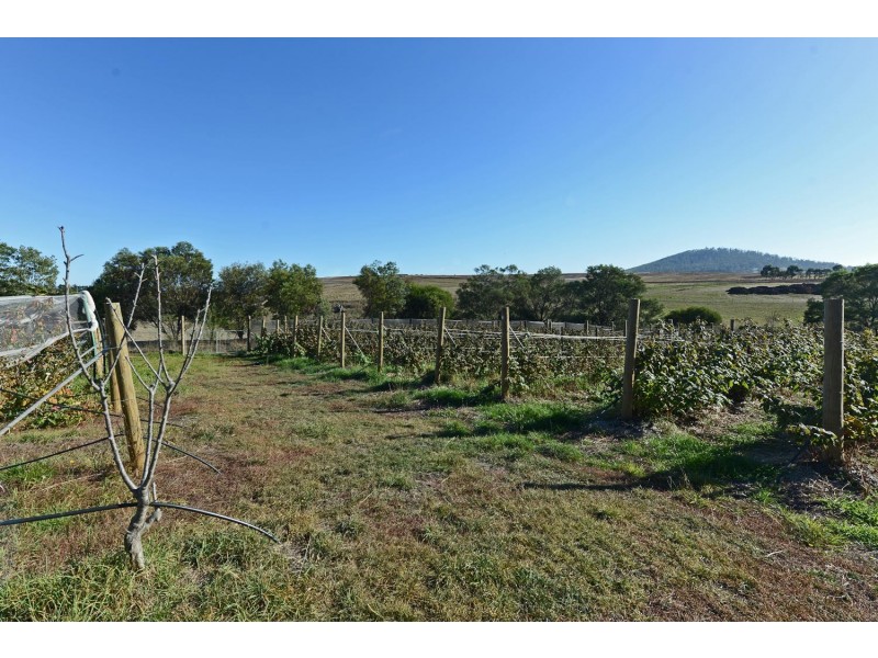 4 Riverdown Court, Forcett TAS 7173