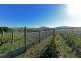 4 Riverdown Court, Forcett TAS 7173