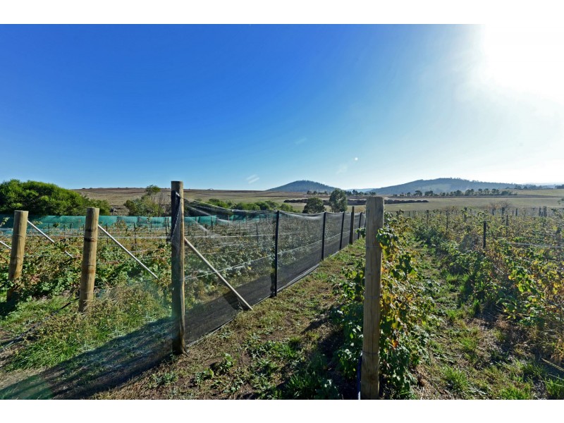 4 Riverdown Court, Forcett TAS 7173
