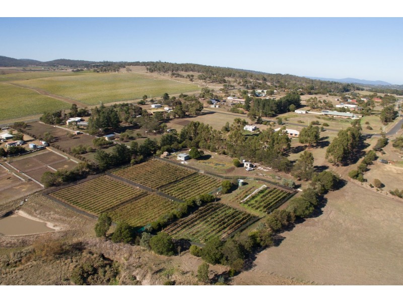 4 Riverdown Court, Forcett TAS 7173