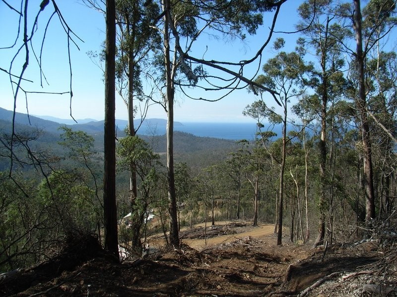 Lot 2 Bream Creek Road, Bream Creek TAS 7175