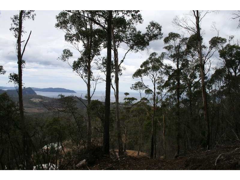 Lot 2 Bream Creek Road, Bream Creek TAS 7175