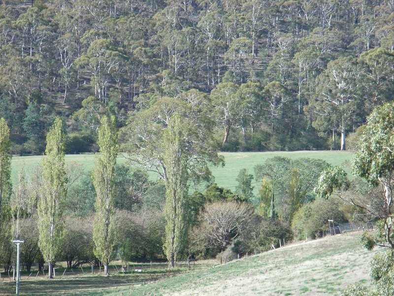 Lot 2, 373 Shrub End Road, Wattle Hill TAS 7172