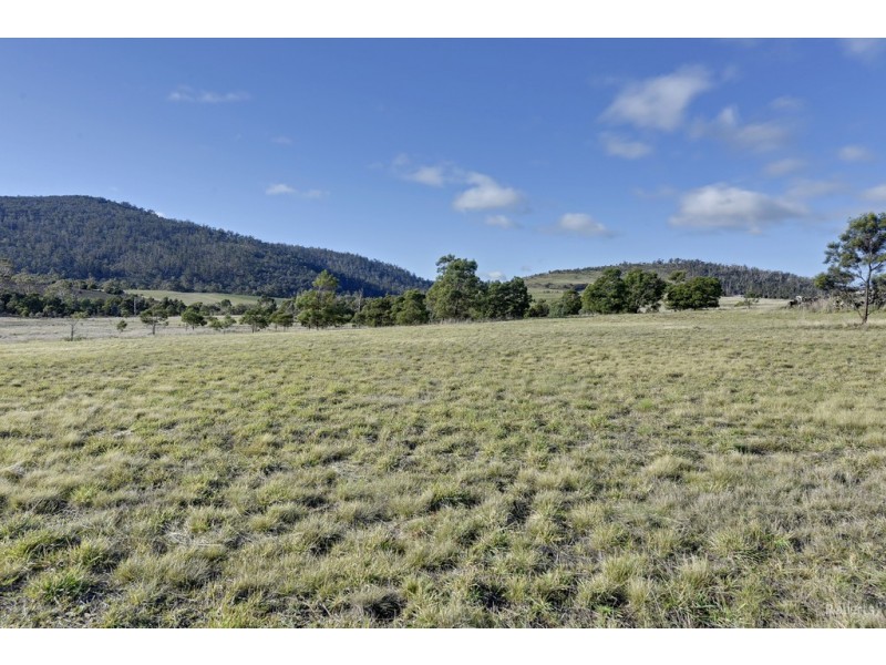 114 Allambie Road, Orielton TAS 7172