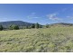 114 Allambie Road, Orielton TAS 7172
