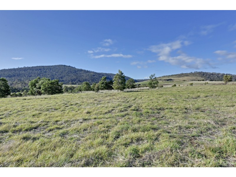 114 Allambie Road, Orielton TAS 7172
