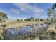 114 Allambie Road, Orielton TAS 7172