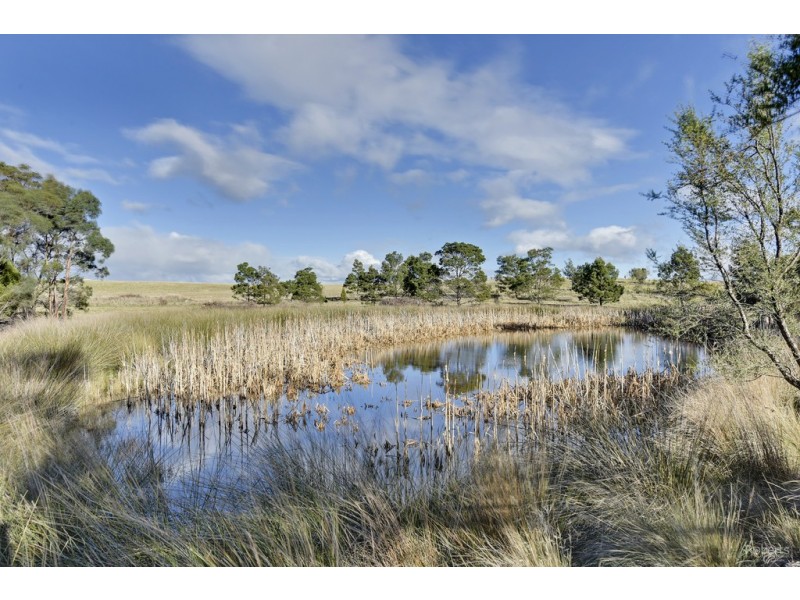 114 Allambie Road, Orielton TAS 7172