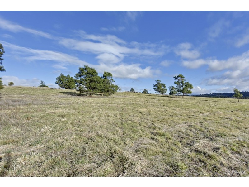 114 Allambie Road, Orielton TAS 7172