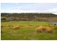 786 Carlton River Road, Carlton River TAS 7173