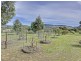 10 Walworth Road, Richmond TAS 7025