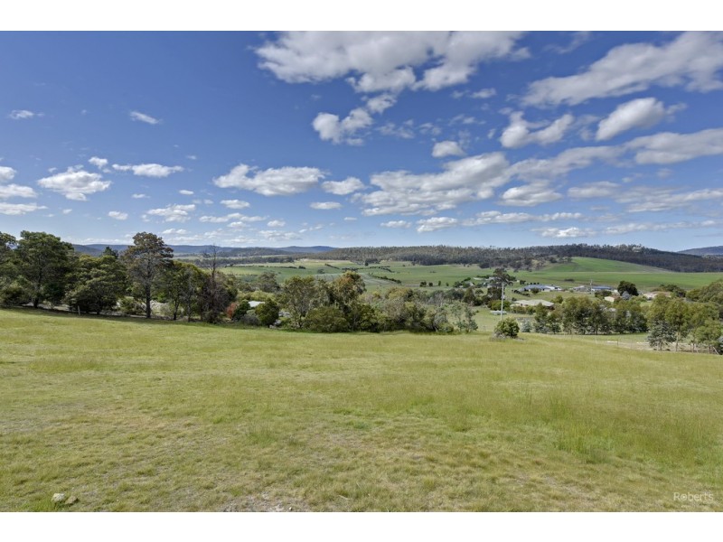 184 Gilling Brook Road, Forcett TAS 7173