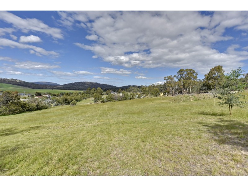 184 Gilling Brook Road, Forcett TAS 7173