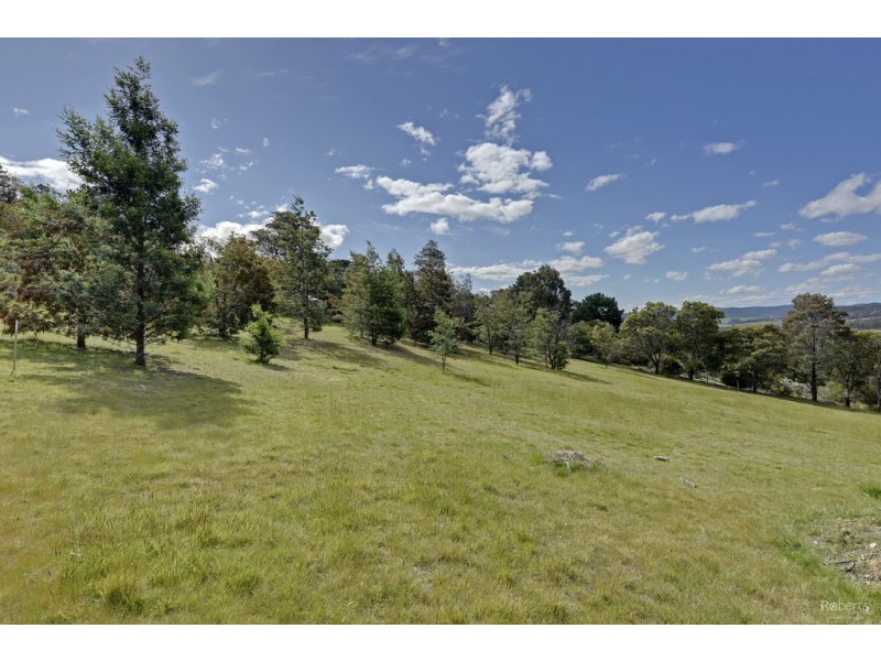 184 Gilling Brook Road, Forcett TAS 7173