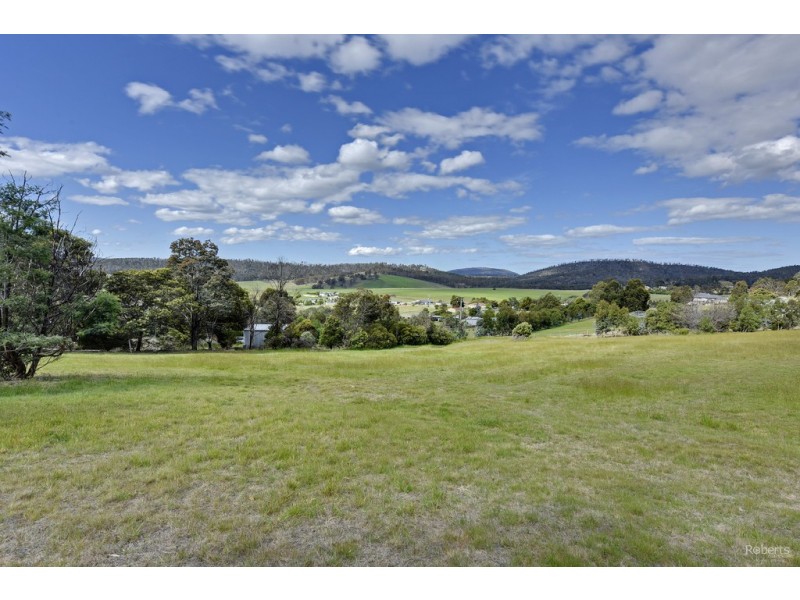 184 Gilling Brook Road, Forcett TAS 7173