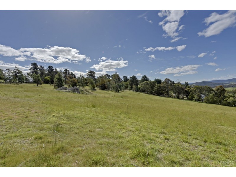 184 Gilling Brook Road, Forcett TAS 7173