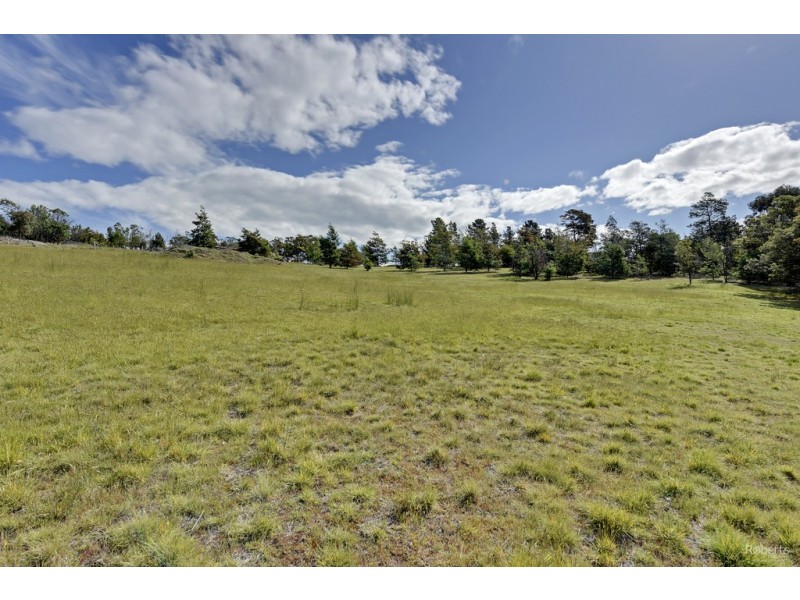 184 Gilling Brook Road, Forcett TAS 7173