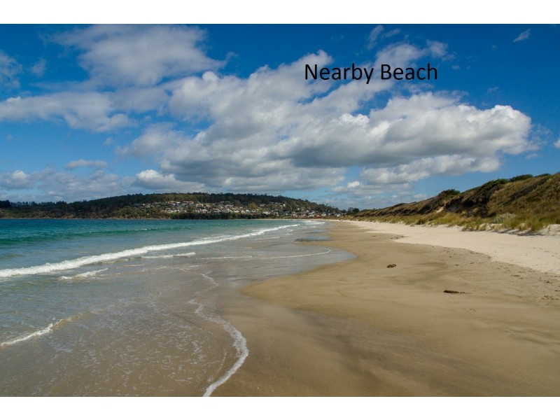 8 Protea Street, Primrose Sands TAS 7173