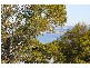 14 Spiraea Street, Primrose Sands TAS 7173