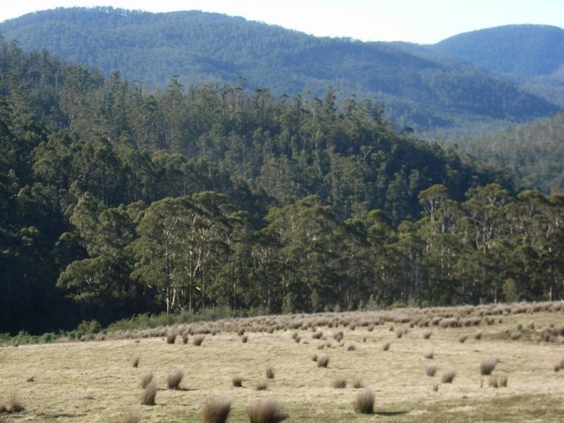 Lot 1 Bream Creek Road, Kellevie TAS 7176