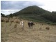 Lot 1 Bream Creek Road, Kellevie TAS 7176