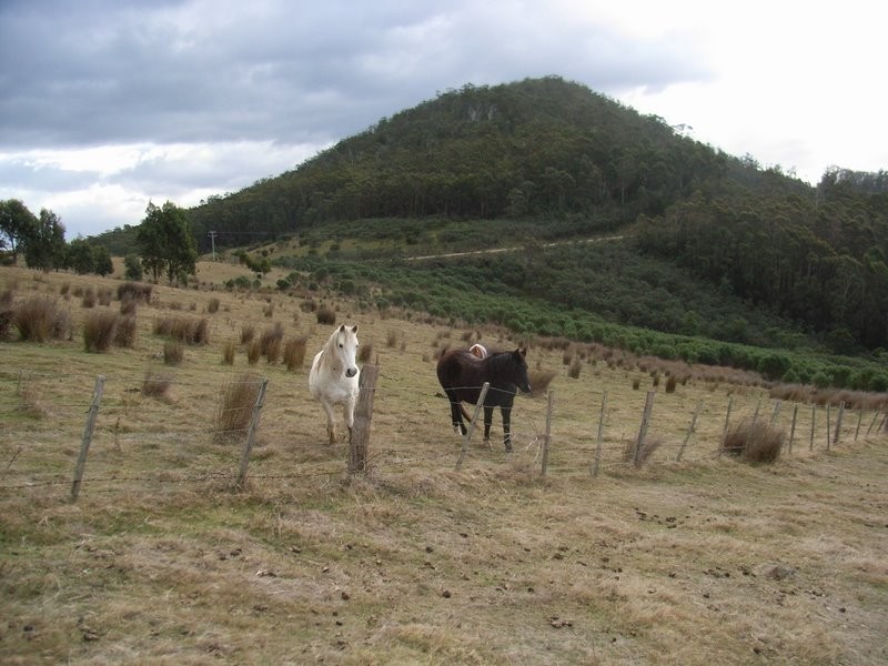 Lot 1 Bream Creek Road, Kellevie TAS 7176