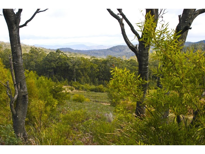 Lot 3 Phipps Road, Runnymede TAS 7190