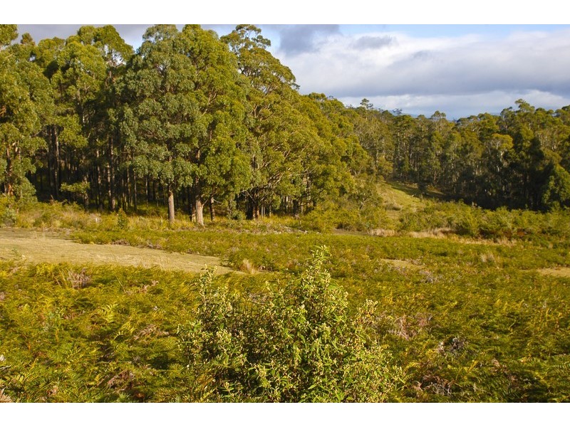 Lot 3 Phipps Road, Runnymede TAS 7190